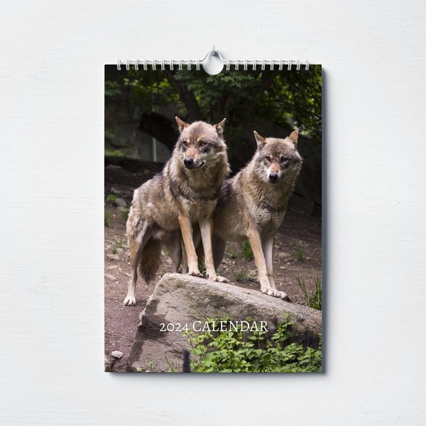 Wolf Calendar 2024 | Monthly Wall Calendar, A4 | Hanging Calendar | Perfect gift for Wolves lovers