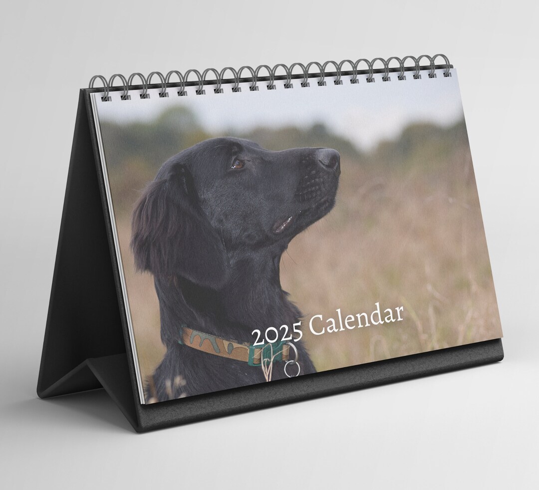 Flat Coated Retriever Desk Calendar 20252026 Standing Flip Desktop