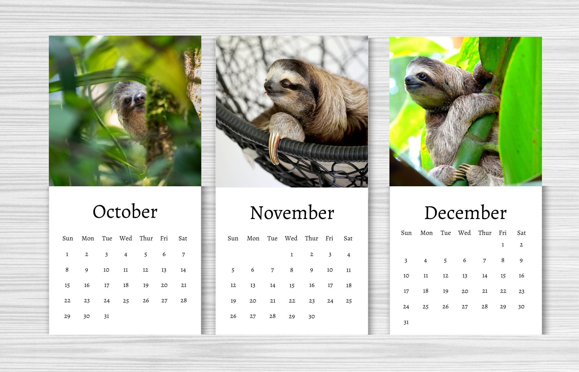 Sloth Calendar 2024 Mini Desk Calendar Sloth Calendar Etsy