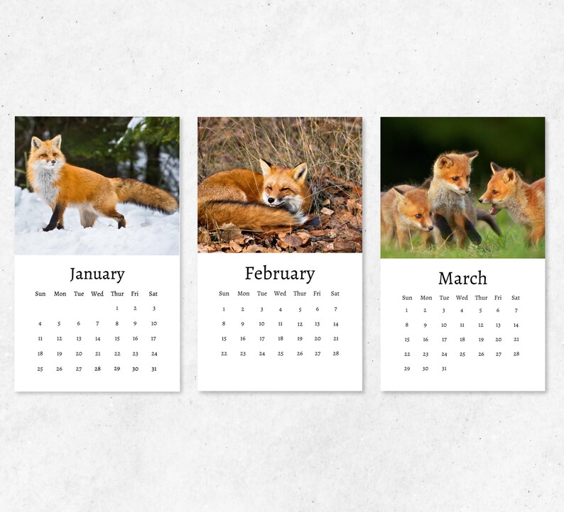Fox Calendar 2026: Mini Desk Calendar, Fox Calendar 2026-2027, Perfect ...
