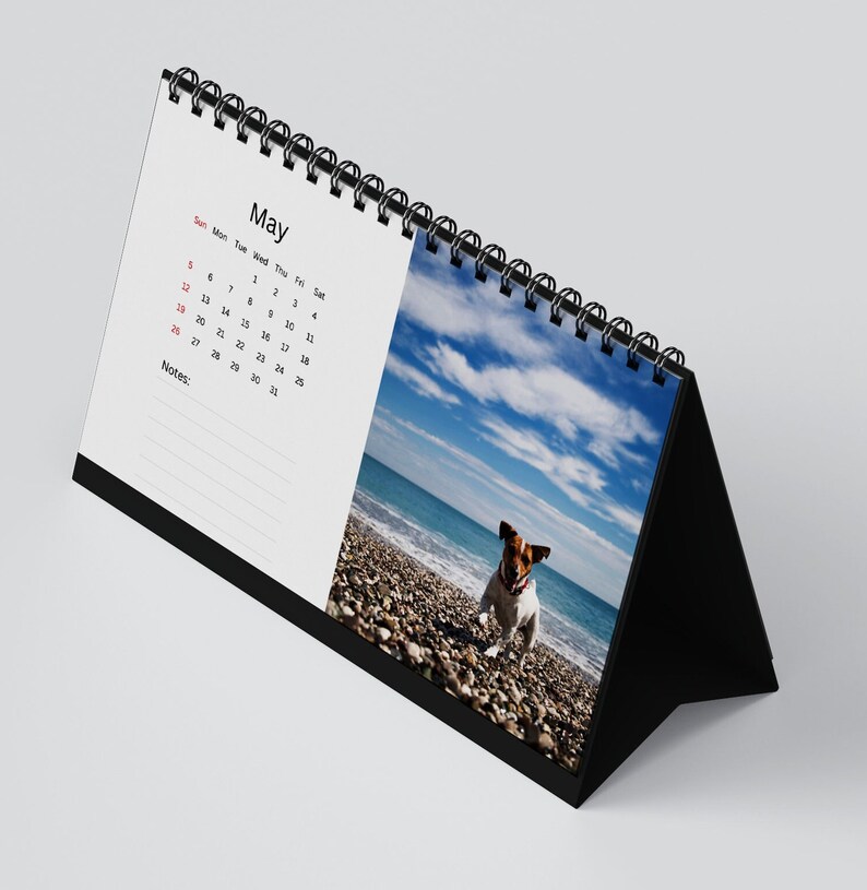 Jack Russell Desk Calendar 2024 Desktop Calendar Jack Etsy