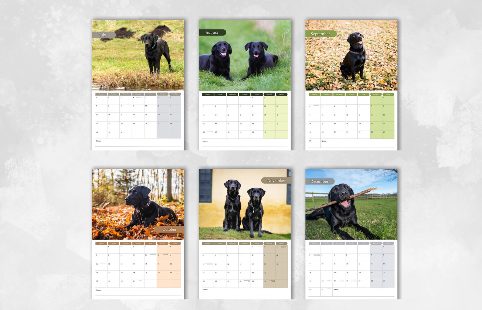 Black Labrador Calendar 2024 Monthly Wall Calendar, A4 Size Hanging