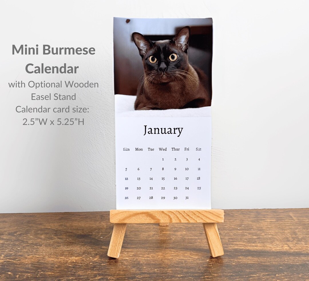 Burmese Calendar 2025 Mini Desk Calendar, Burmese Cat Calendar 2025