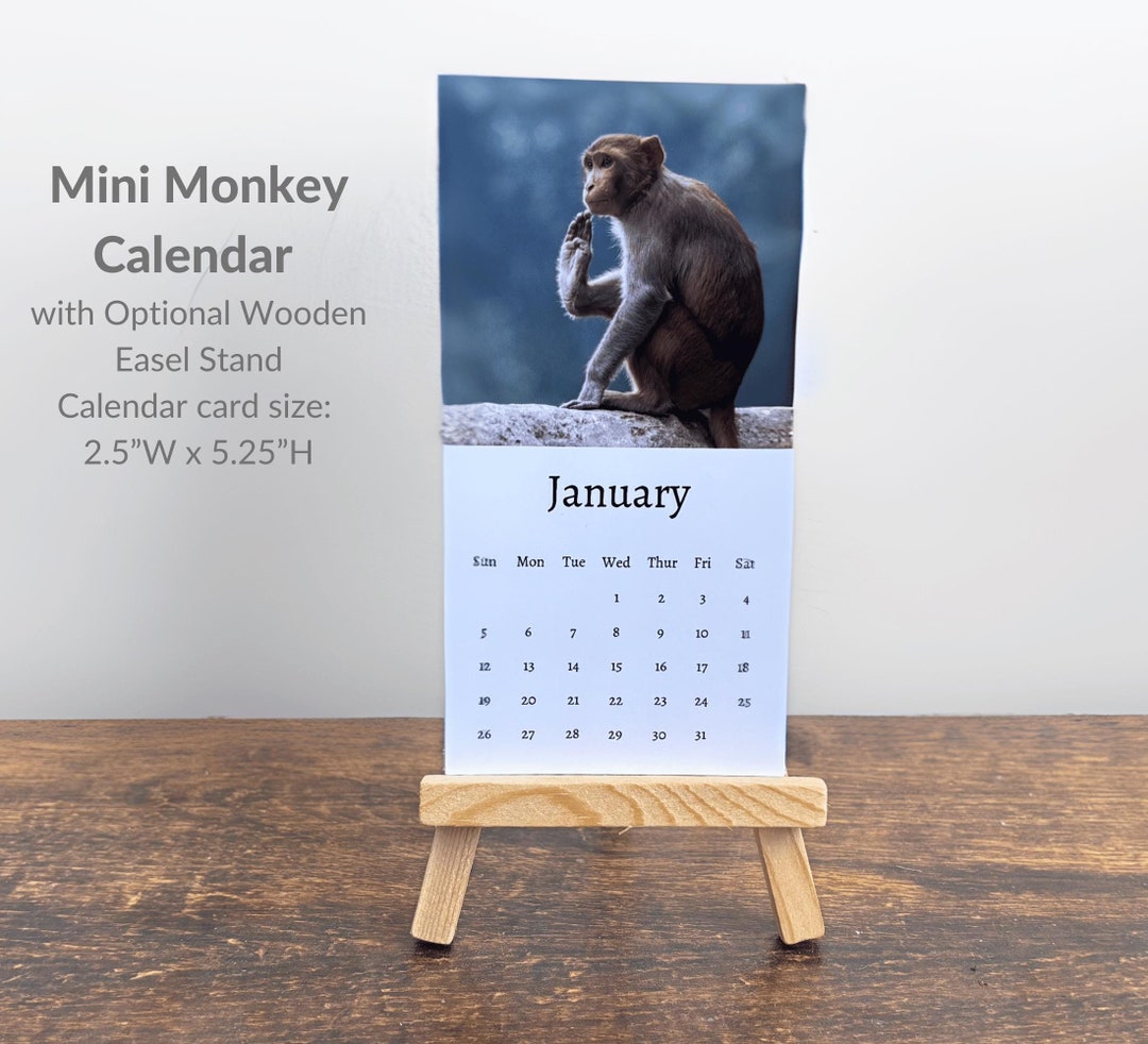 Monkey Calendar 2025 Mini Desk Calendar, Monkey Calendar 20252026