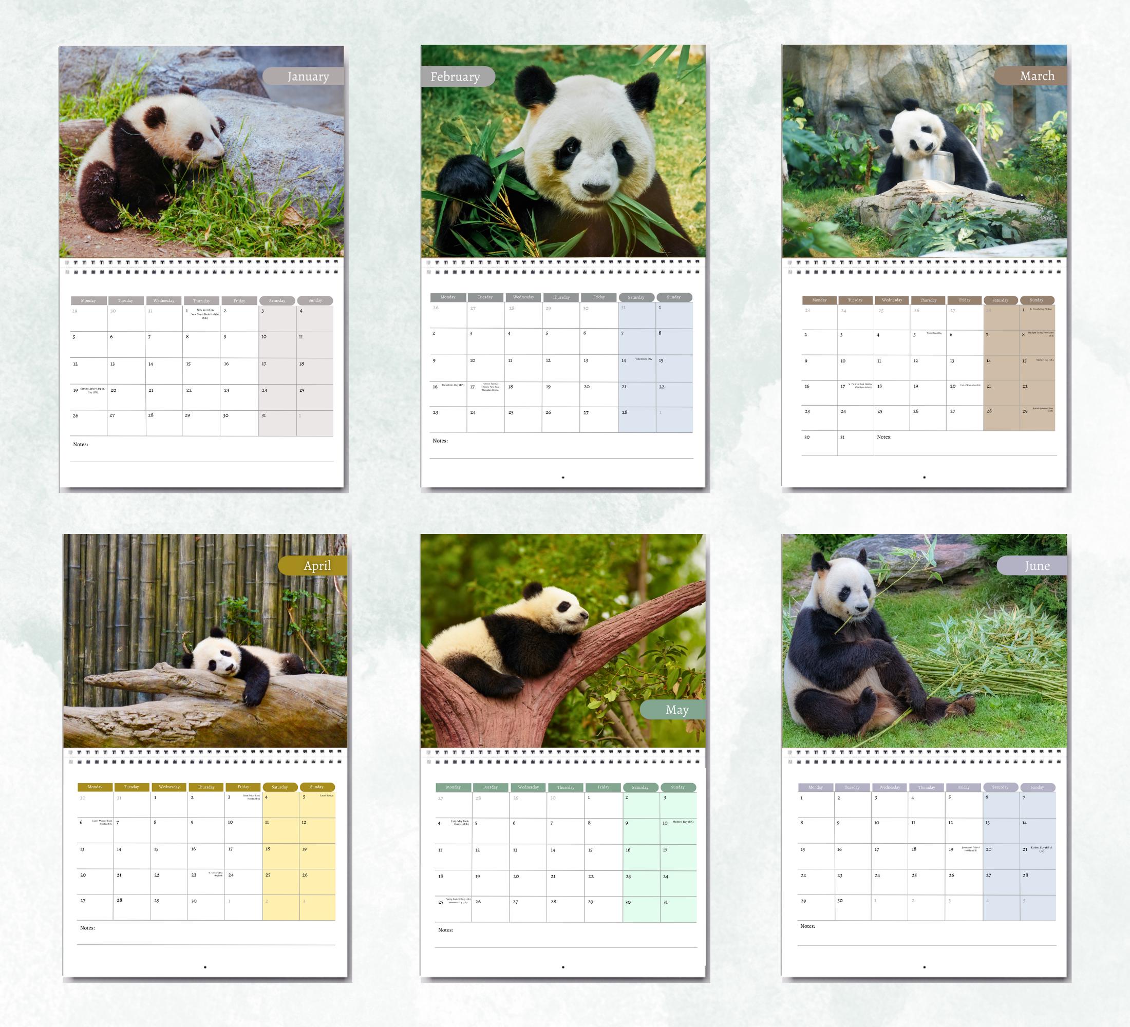 Panda Calendar 2026: Monthly Wall Calendar With Notes, Opens to A3 Size ...