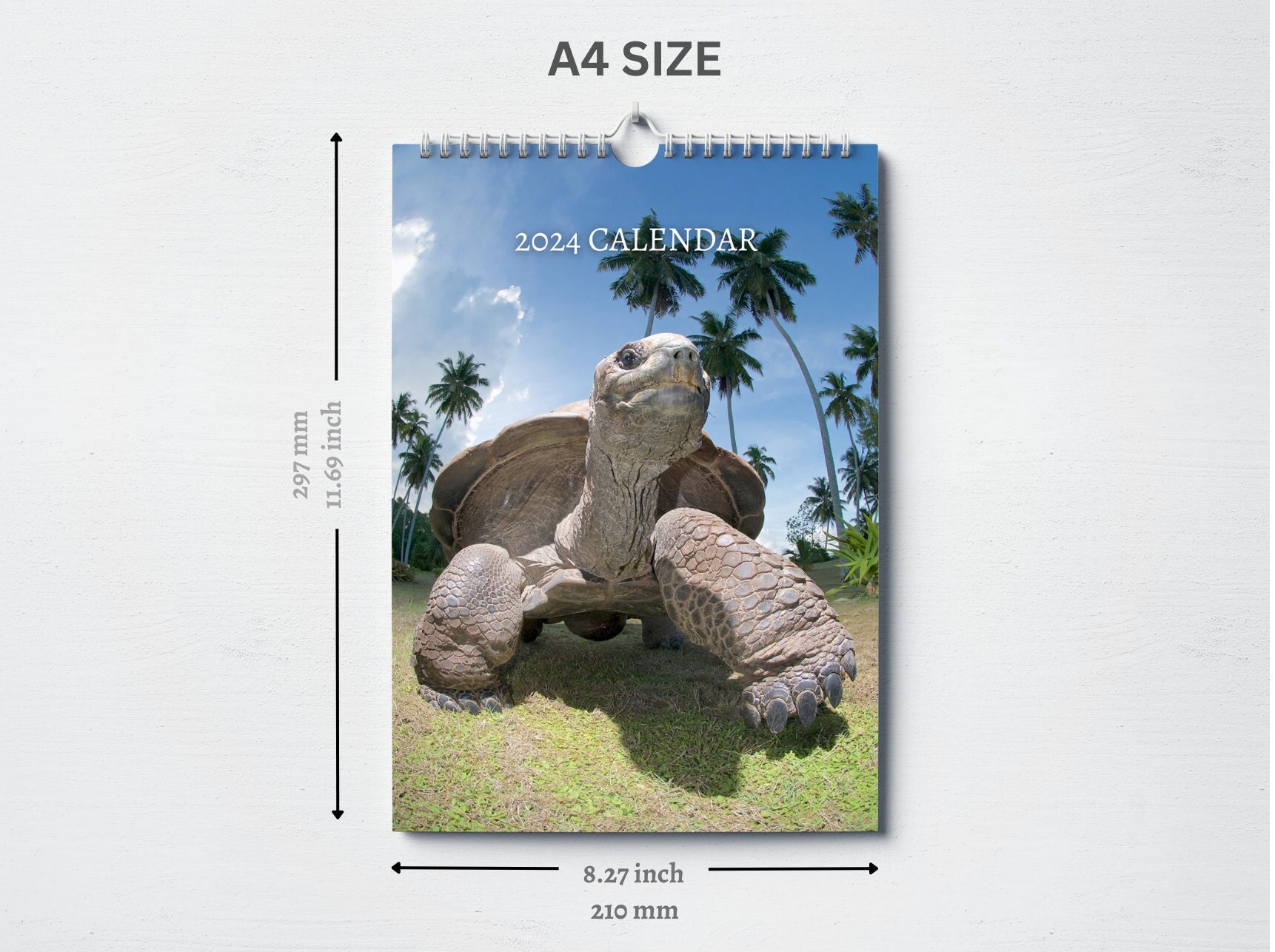Tortoise Calendar 2025 Monthly Wall Calendar A4 Hanging Etsy
