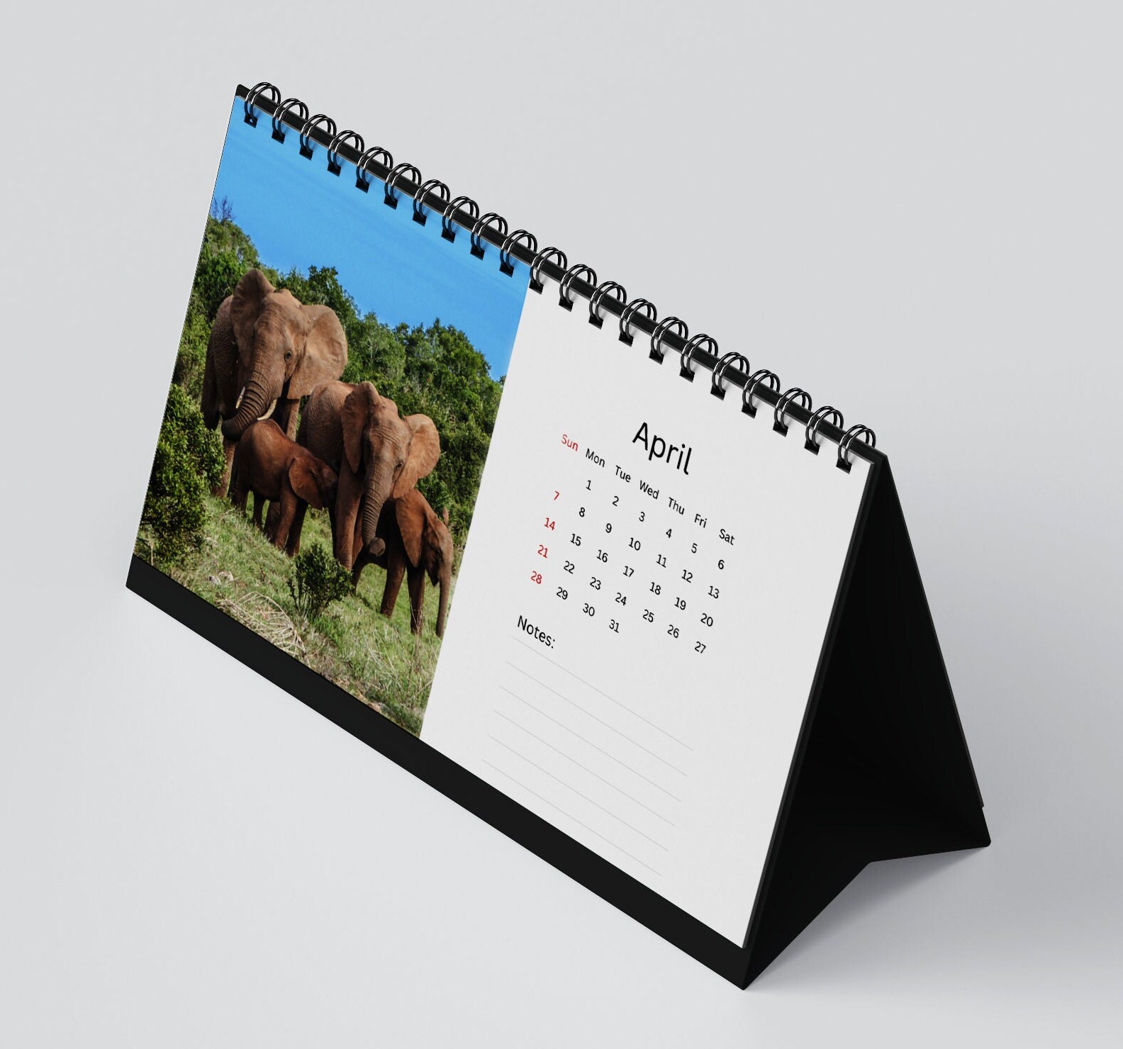 Elephant Desk Calendar 2024 Desktop calendar Elephant Calendar 2024