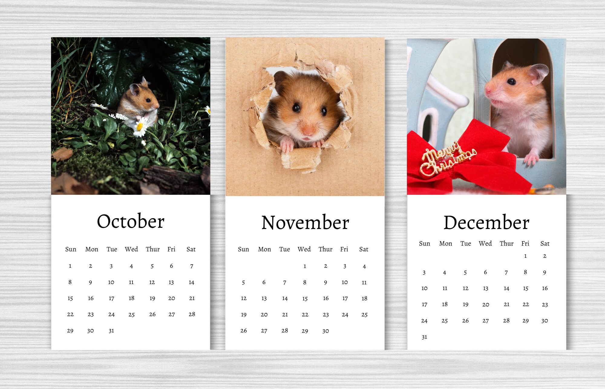 Hamster Calendar 2024 Mini Desk Calendar Hamster Calendar Etsy Canada
