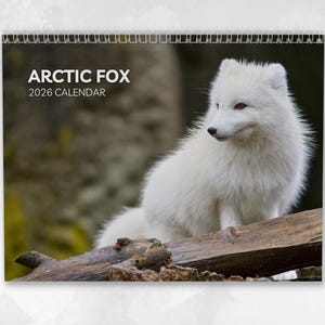 Könnte beinhalten: Ein Spiral-Kalender mit einem weißen Polarfuchs, der auf einem Baumstamm sitzt. Der Kalender trägt den weißen Schriftzug "ARCTIC FOX 2026 CALENDAR". Der Hintergrund ist ein verschwommenes Waldbild.