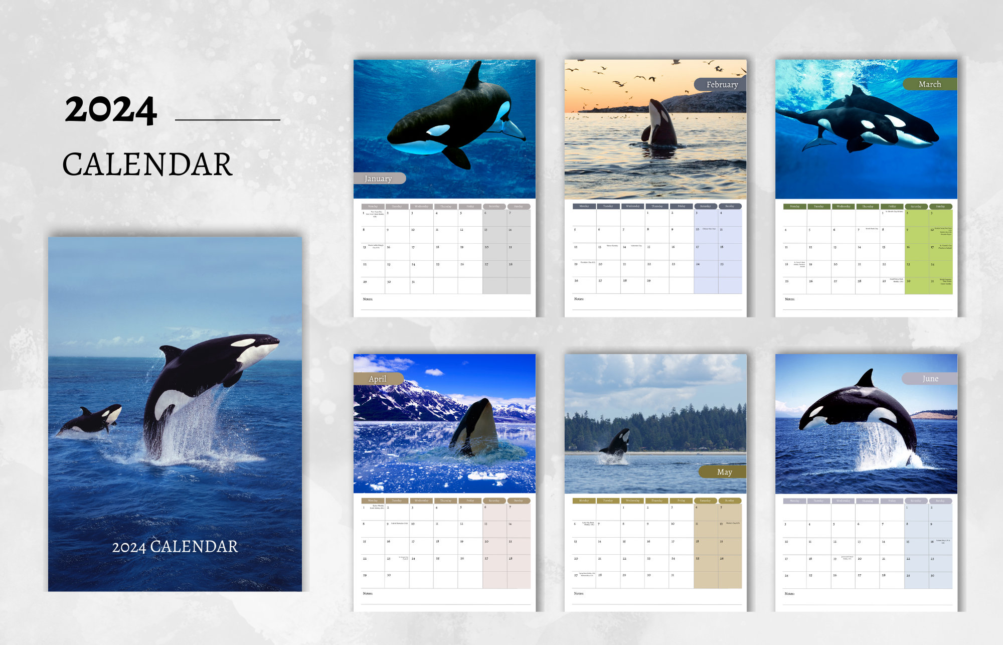Orca Calendar 2025 Monthly Wall Calendar, A4 Hanging Calendar Perfect