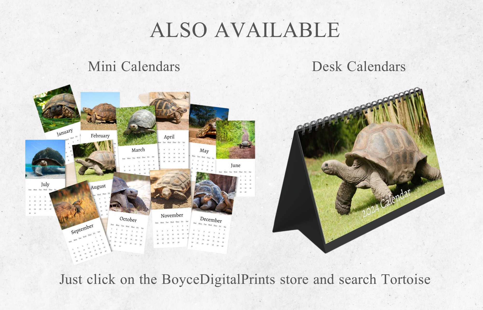 Tortoise Calendar 2024 Monthly Wall Calendar A4 Hanging Etsy UK Tortoise Calendar 2024 Monthly Wall Calendar A4 Hanging Etsy UK