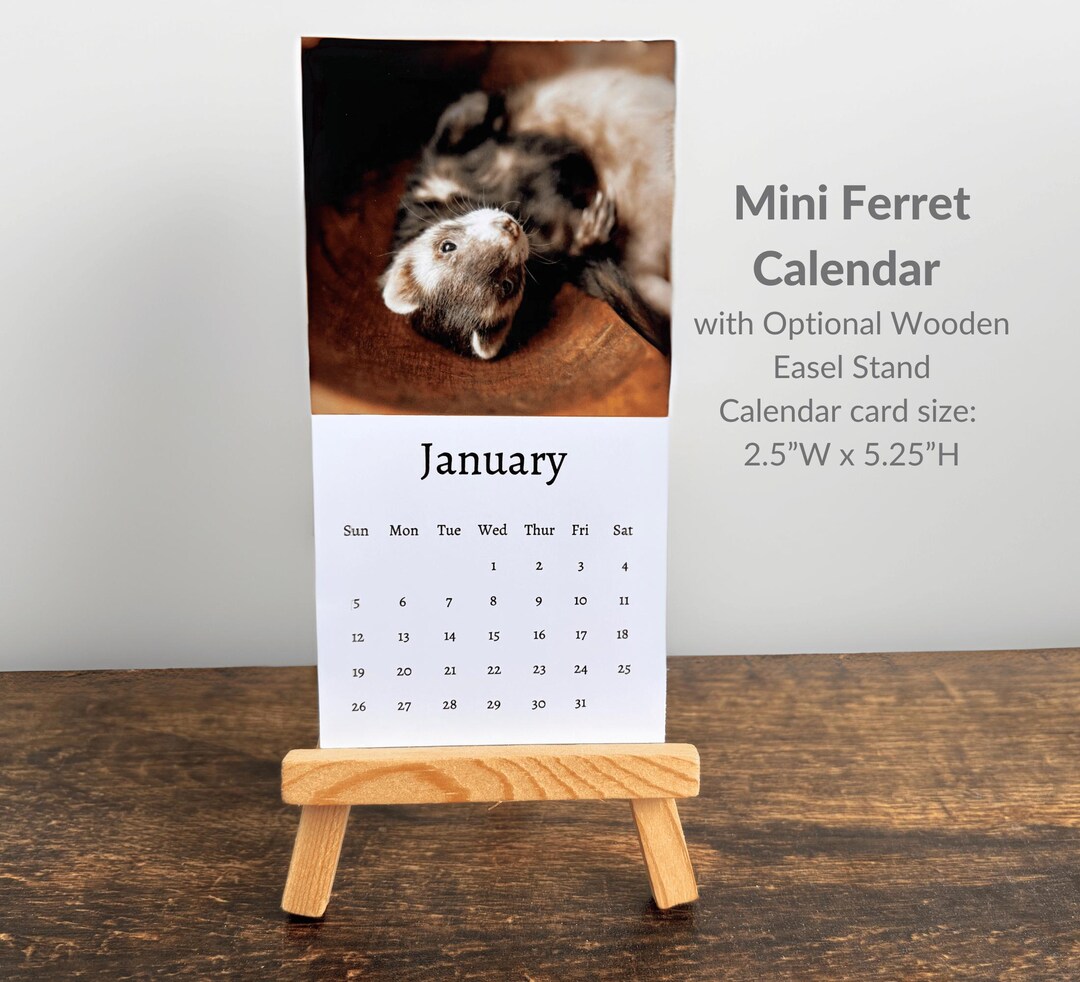 Ferret Calendar 2025 Mini Desk Calendar, Ferret Calendar 20252026