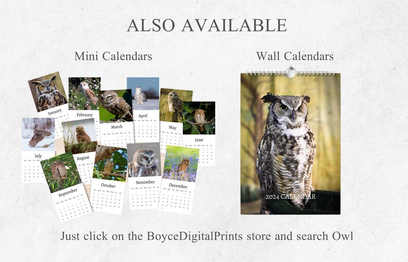Owl Desk Calendar 2024 Desktop Calendar Owl Calendar Etsy