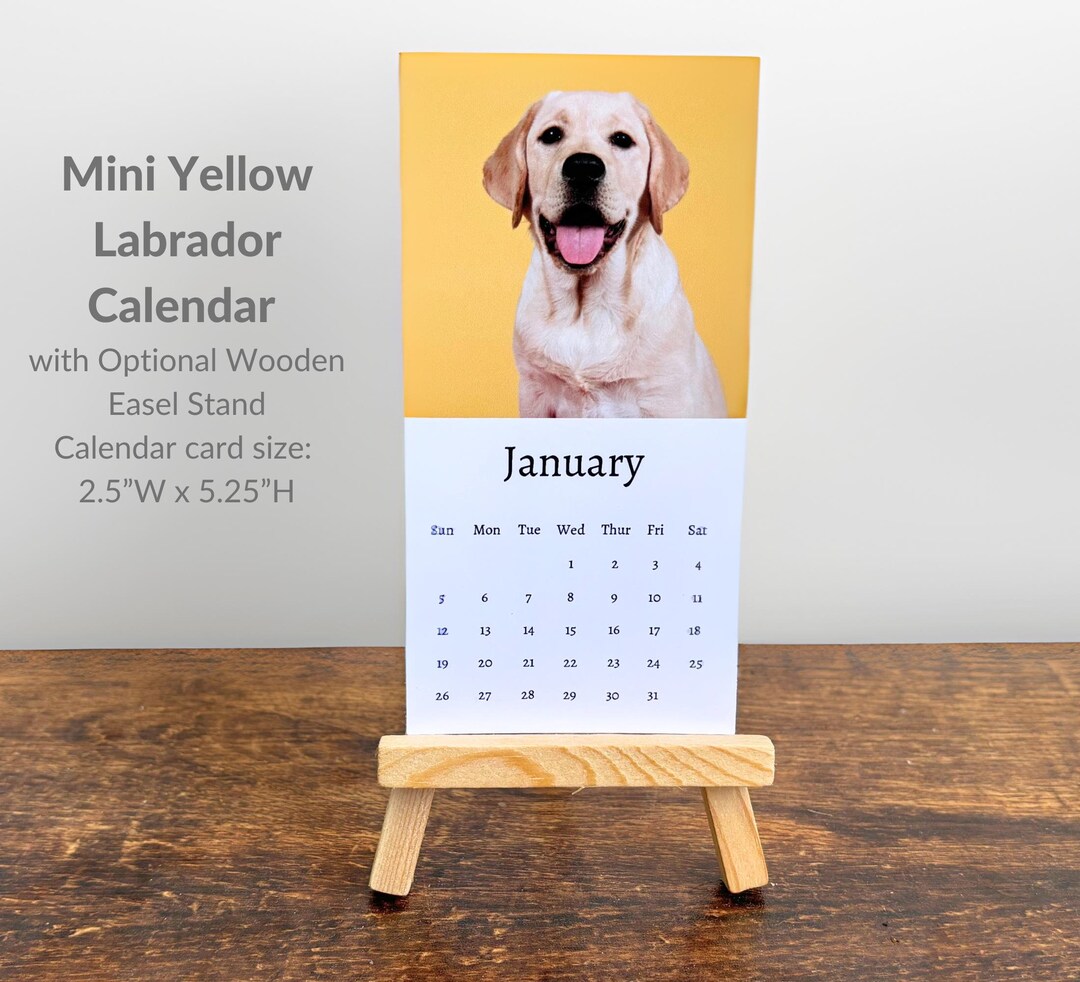 Yellow Labrador Calendar 2025 Mini Desk Calendar, Yellow Labrador