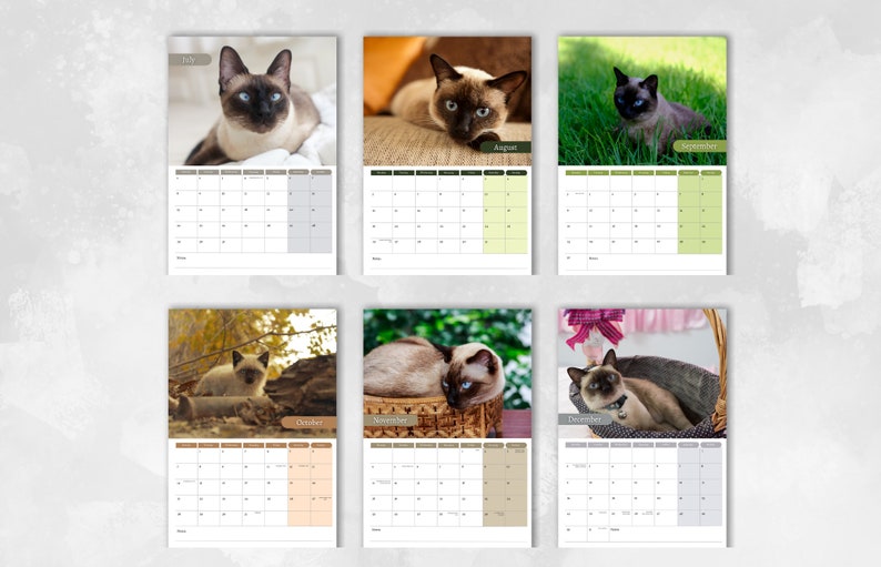 Siamese Cat Calendar 2024 Monthly Wall Calendar A4 Etsy