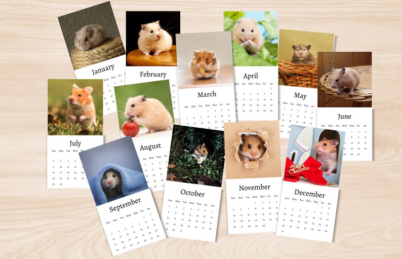 Hamster Calendar 2024 Mini Desk Calendar Hamster Calendar Etsy Canada