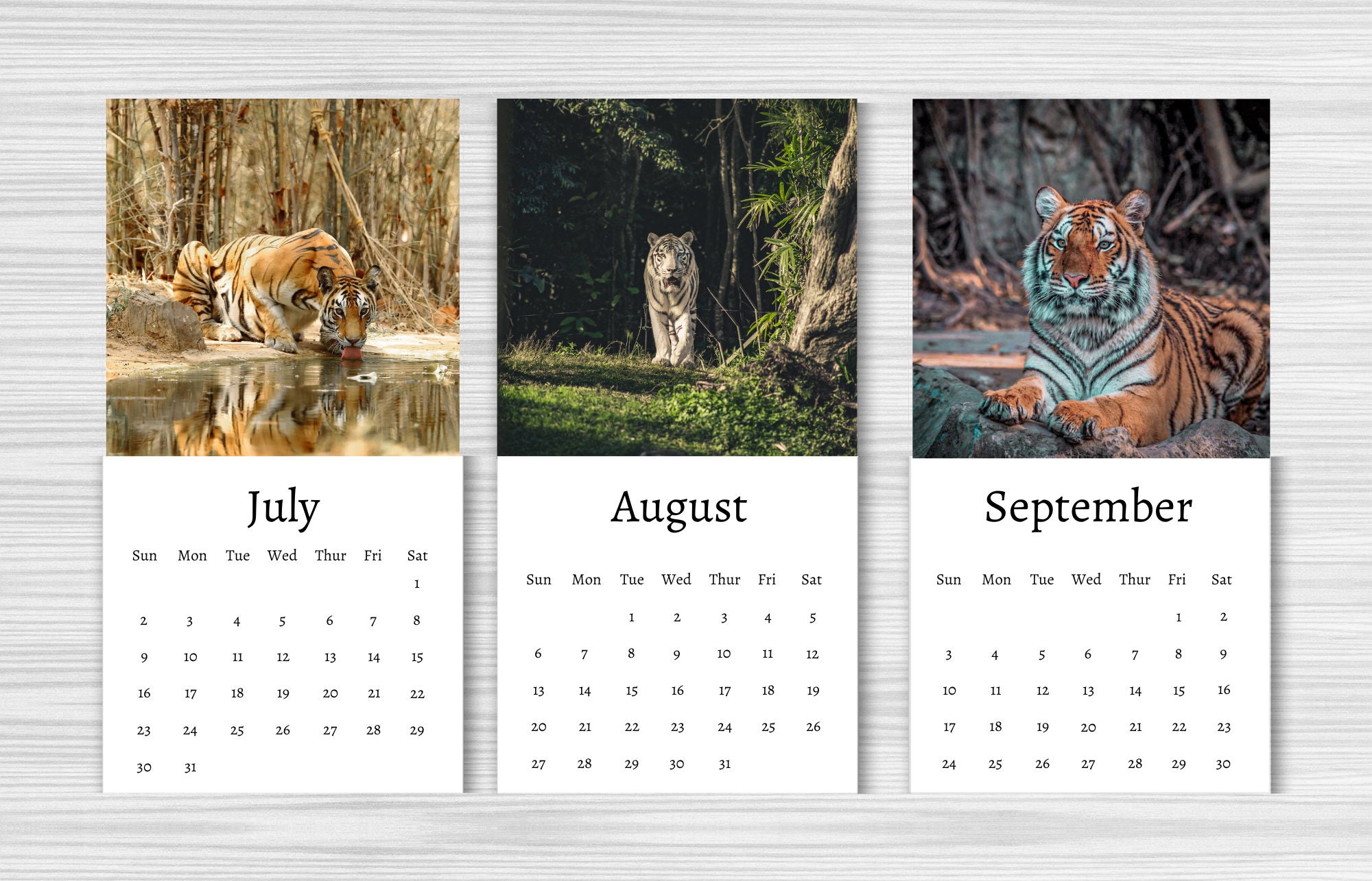 Tiger Calendar 2024 Mini Desk Calendar Tiger Calendar Etsy