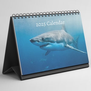 Shark Desk Calendar 2025-2026: Standing Flip Desktop Calendar with Thick Paper (15.25cm x 22cm - similar to A5)