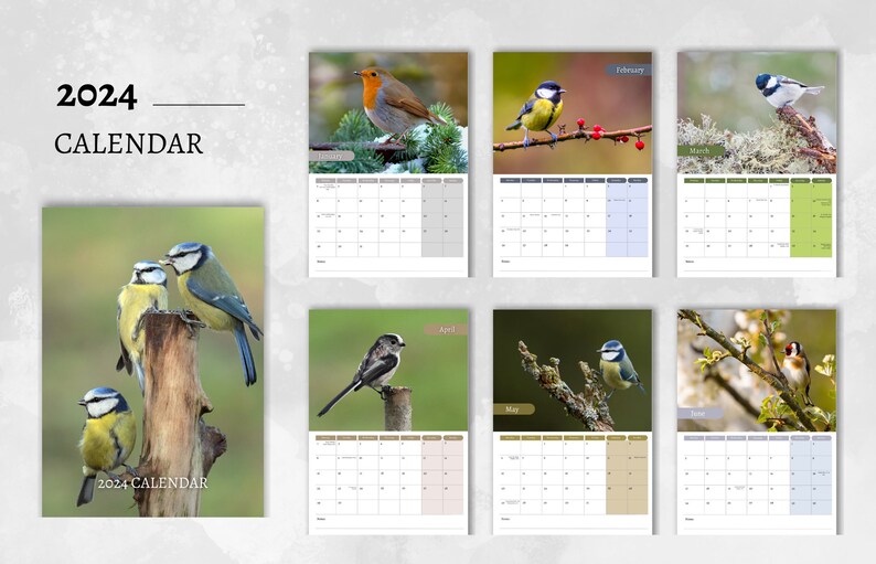 Garden Birds Calendar 2024 Monthly Wall Calendar, A4 Hanging Calendar Perfect Gift for Garden