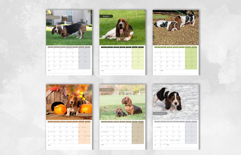 Basset Hound Calendar 2024 Monthly Wall Calendar A4 Size Etsy UK