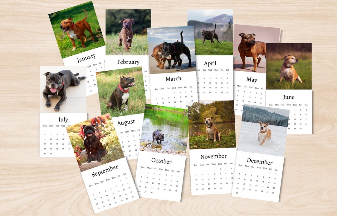 staffordshire-bull-terrier-calendar-2024-mini-desk-calendar-staffie-calendar-2024-2025-perfect
