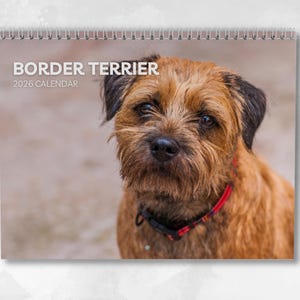 Border Terrier Calendar 2026: Monthly Wall Calendar with Notes, opens to A3 Size, Includes key dates & holidays