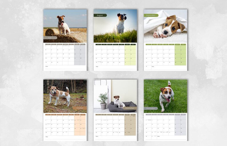 Calendario Jack Russell 2024 / Calendario de pared mensual A4 Etsy México