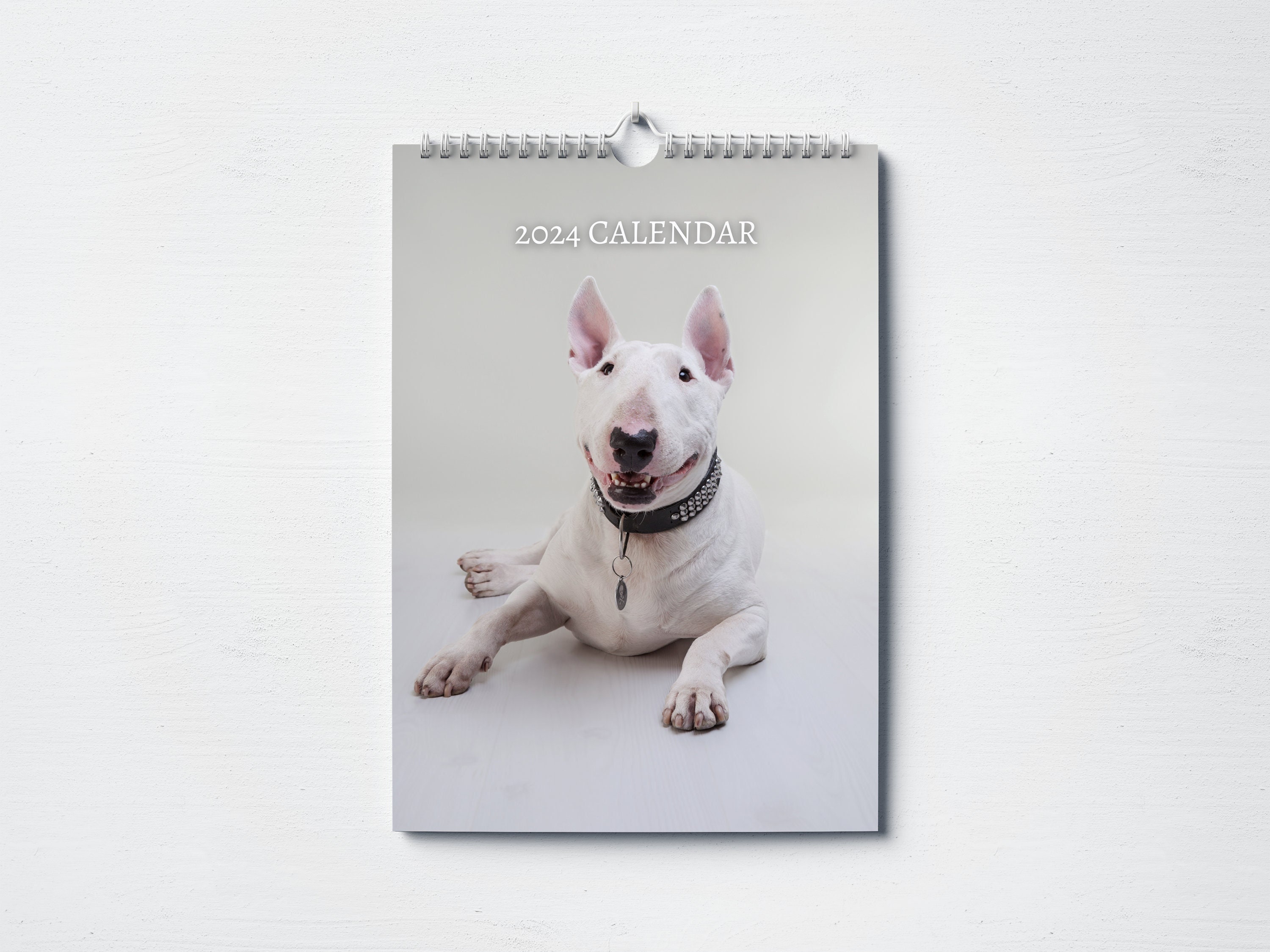 Bull Terrier Calendar 2024 Monthly Wall Calendar A4 Size Etsy