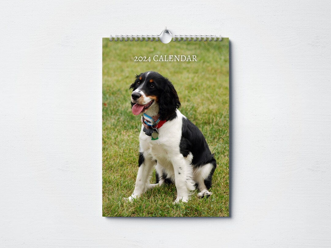 English Springer Spaniel Calendar 2024 Monthly Wall Calendar, A4
