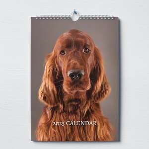 Calendario Irish Setter 2025: calendario mensile da parete con note, formato A4 da appendere, include date e festività chiave