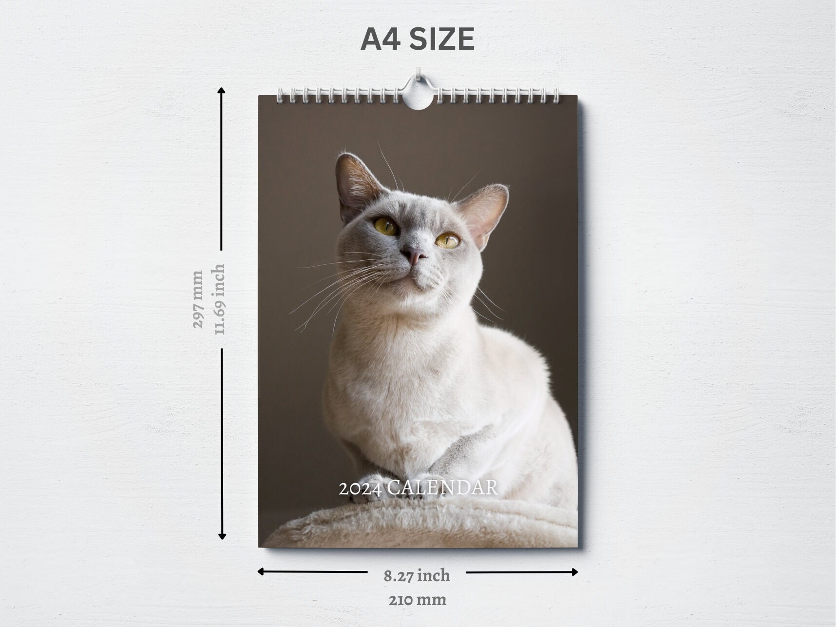 Burmese Cat Calendar 2024 Monthly Wall Calendar, A4 Size Hanging