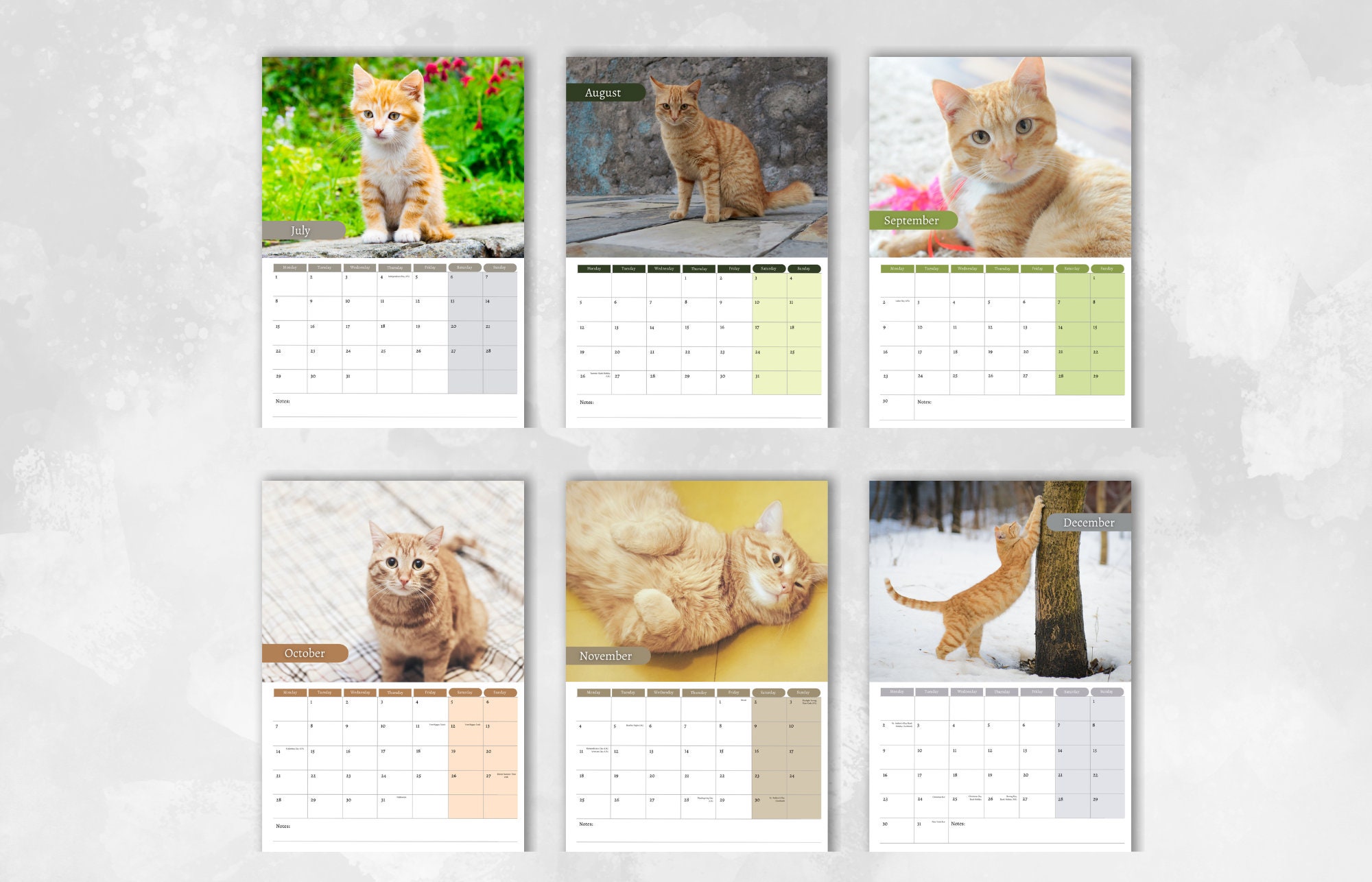 Ginger Cat Calendar 2024 Monthly Wall Calendar A4 Hanging Etsy
