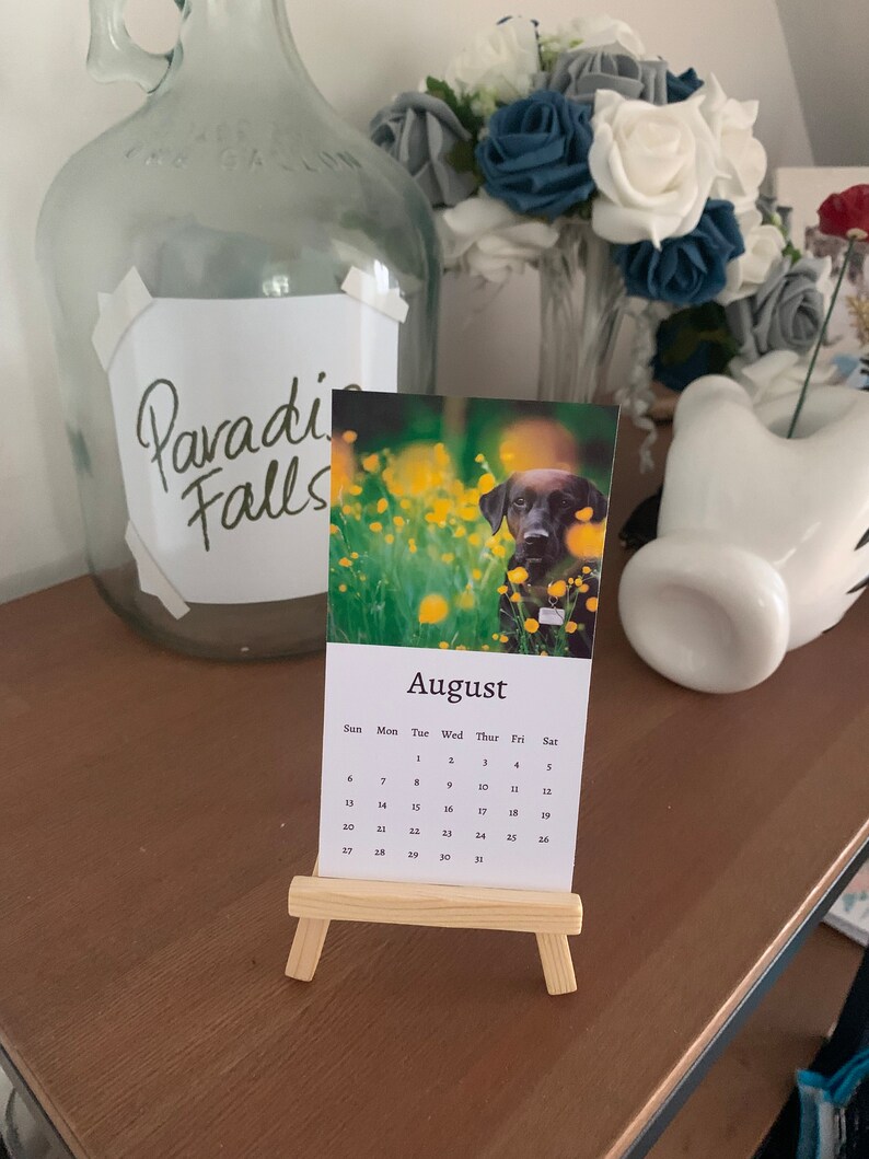Black Labrador Calendar 2024 Mini Desk Calendar Black Labrador Calendar