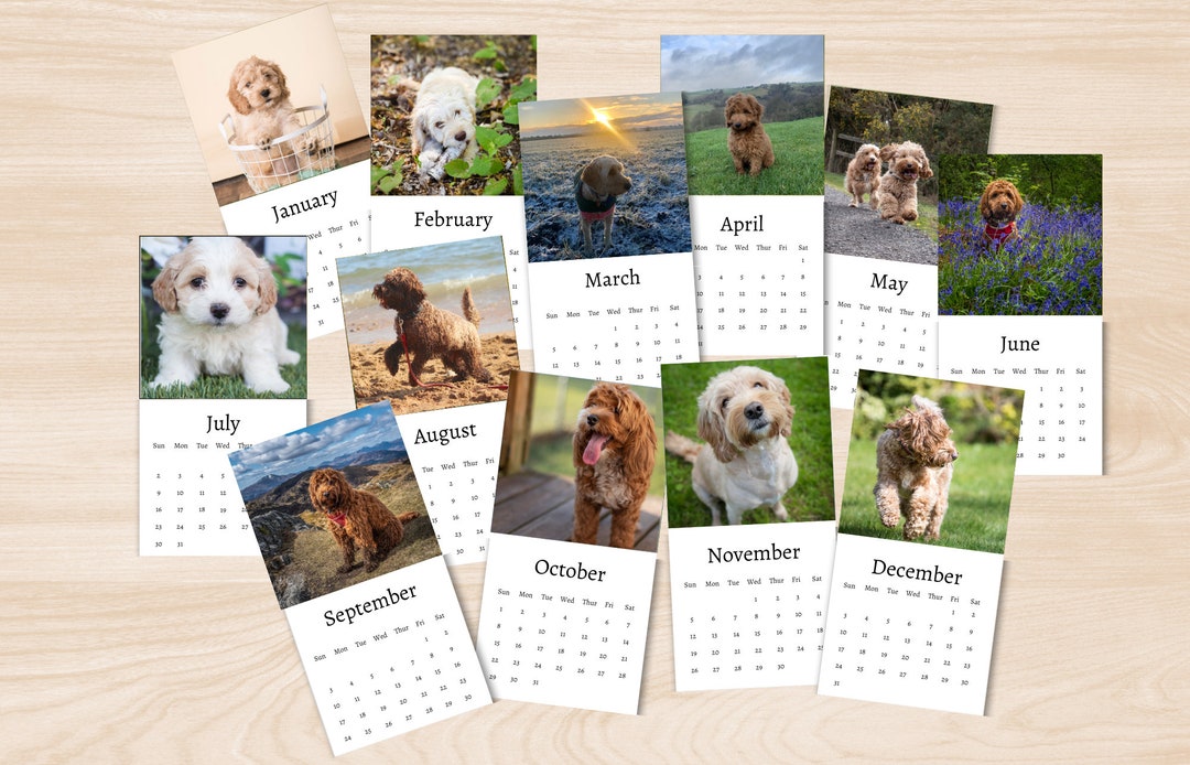 Cockapoo Calendar 2025 Mini Desk Calendar Cockapoo Calendar 20242025