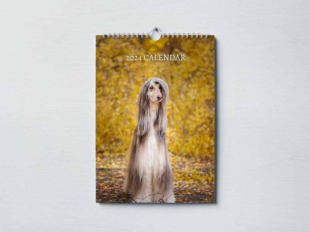 Afghan Hound Calendar 2024 Monthly Wall Calendar, A4 Size Hanging