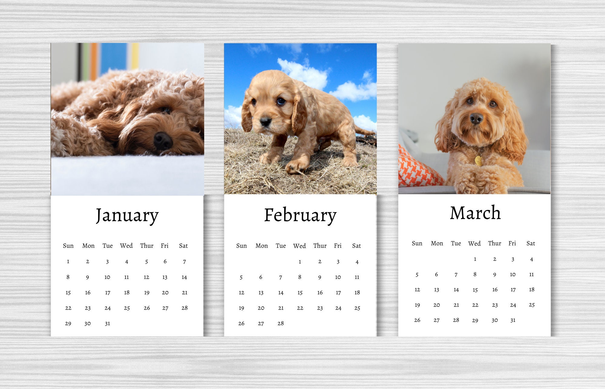 Cavapoo Calendar 2024 Mini Desk Calendar Cavapoo Calendar - Etsy Canada