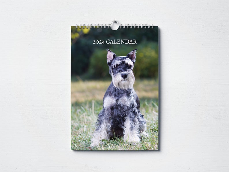 Miniature Schnauzer Calendar 2024 Monthly Wall Calendar A4 Etsy