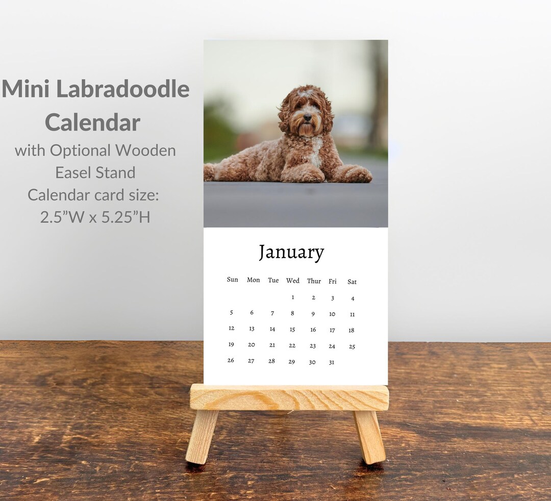 Labradoodle Calendar 2025 Mini Desk Calendar, Labradoodle Calendar