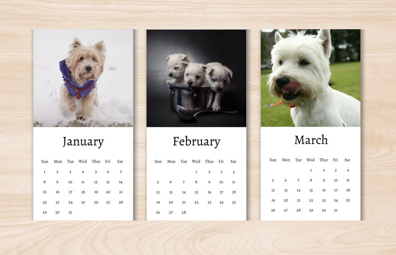 Westie Calendar 2024 Mini Desk Calendar West Highland Etsy