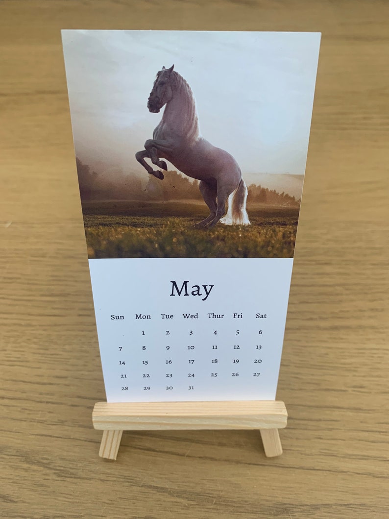 Horse Calendar 2024 Mini Desk Calendar Horse Calendar Etsy