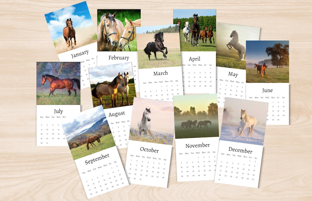 Horse Calendar 2024 Mini Desk Calendar Horse Calendar Etsy