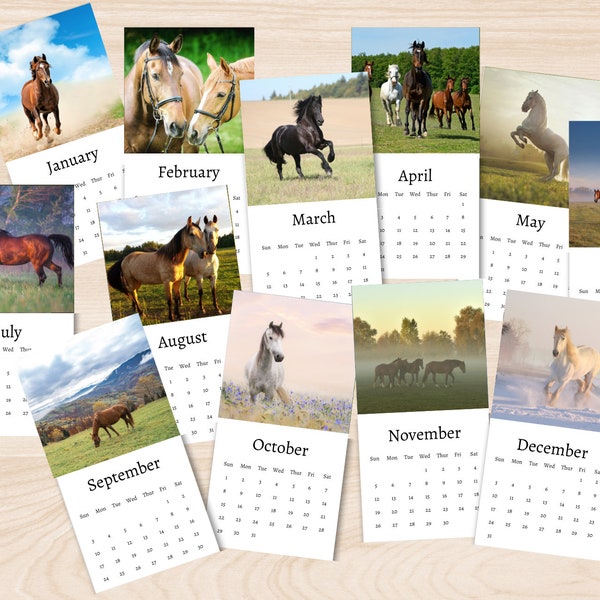 Horse Calendar Etsy