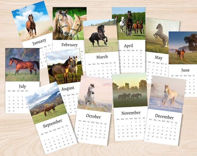 Horse Calendar 2024 Mini Desk Calendar Horse Calendar 20242025 Perfect