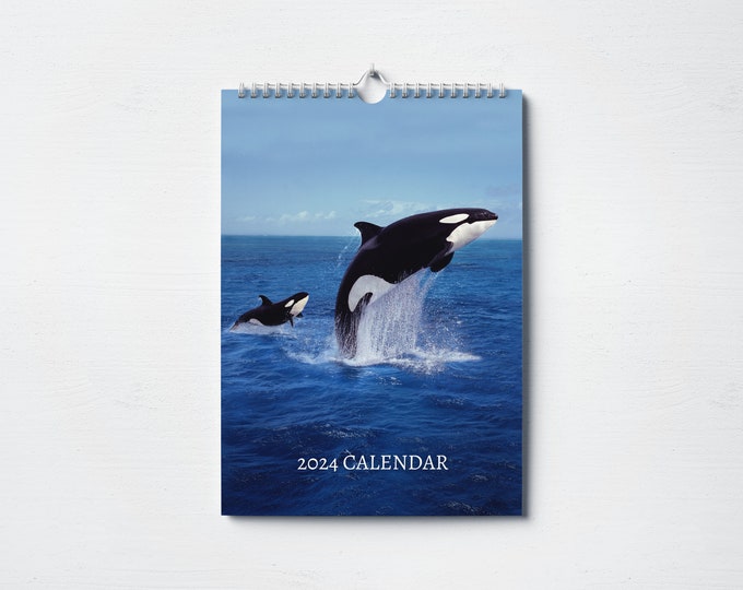 Orca Calendar 2024 Monthly Wall Calendar, A4 Hanging Calendar