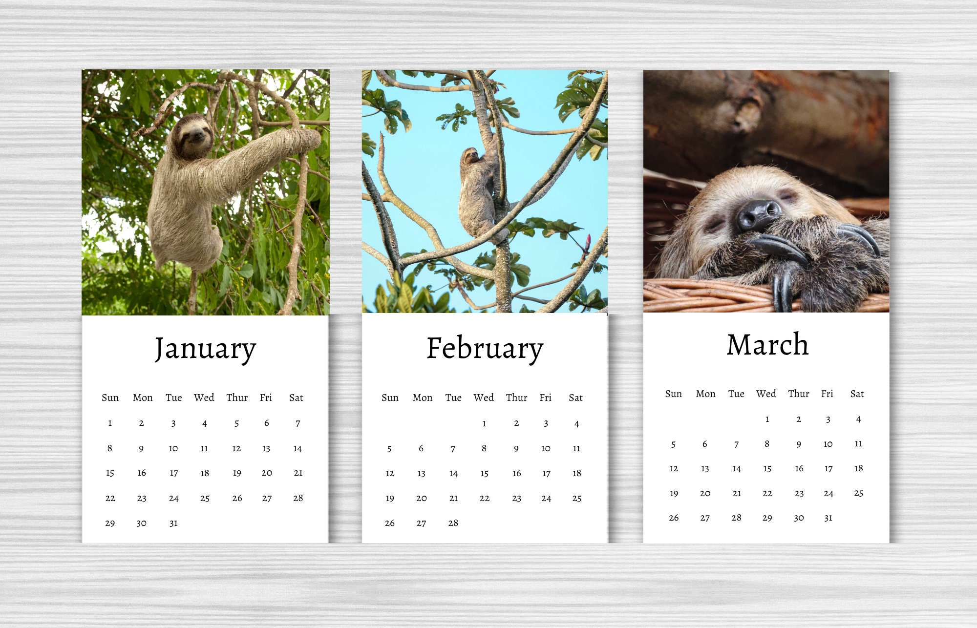 Sloth Calendar 2024 Mini Desk Calendar Sloth Calendar Etsy