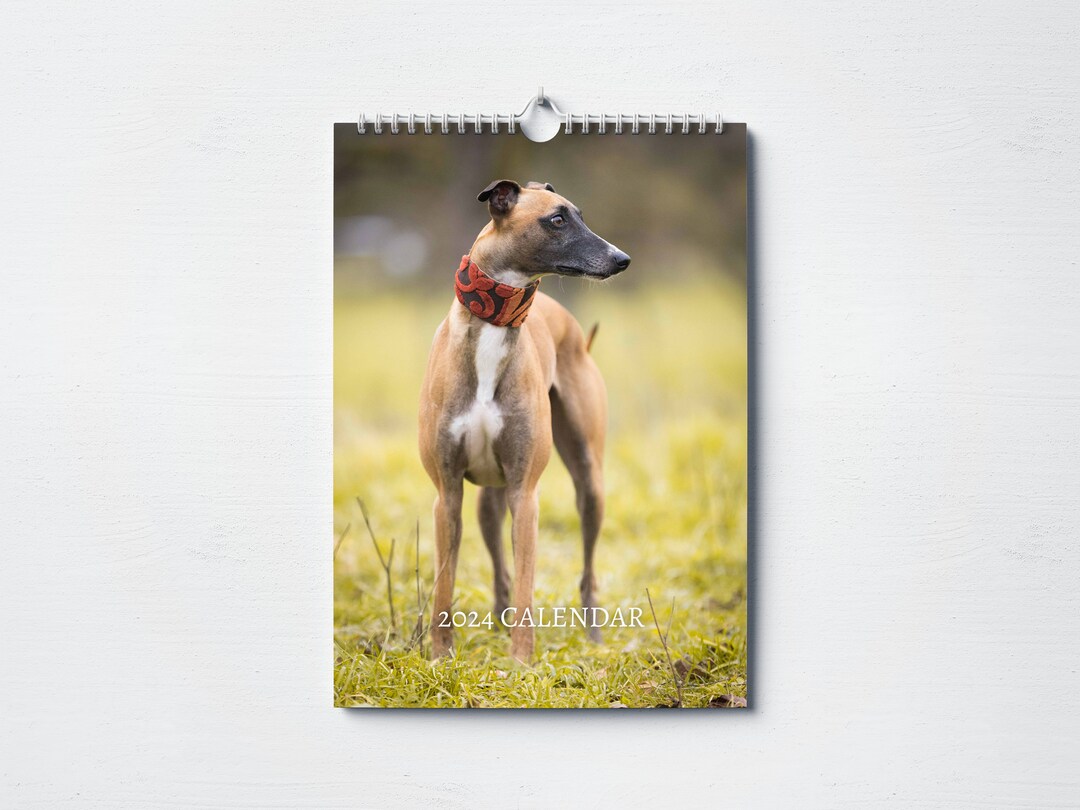 Greyhound Calendar 2024 Monthly Wall Calendar, A4 Hanging Calendar