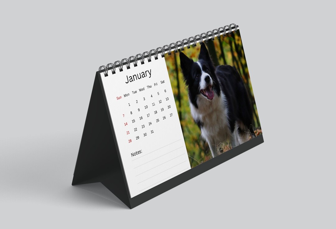 Border Collie Calendar 2024 Desk Calendar Border Collie Calendar 2024