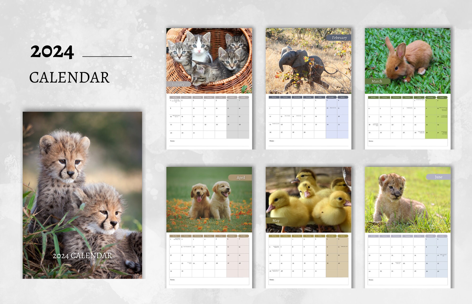 Baby Animals Calendar 2024 Monthly Wall Calendar, A4 Size Hanging