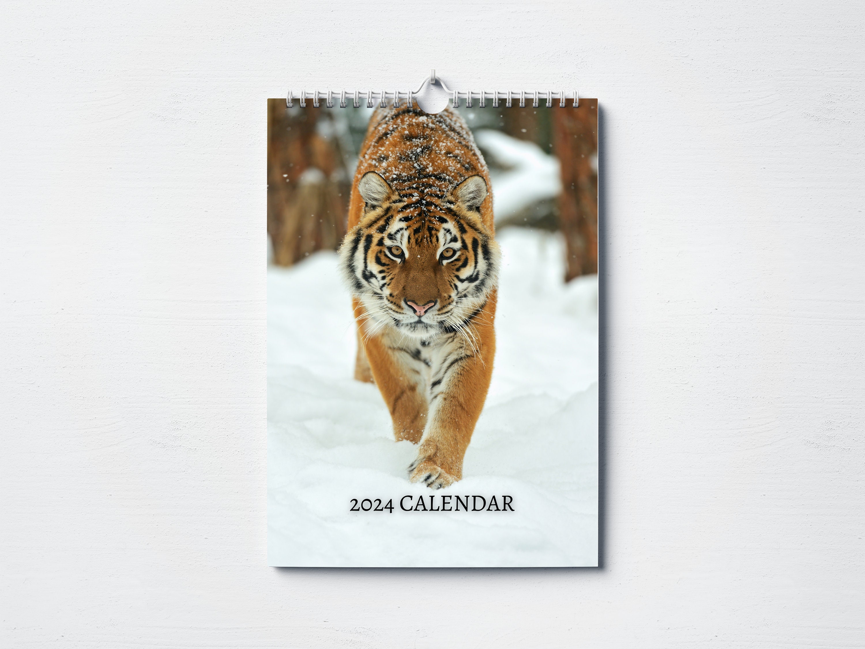 Detroit Tigers 2022 12x12 Team Wall Calendar (Other) 