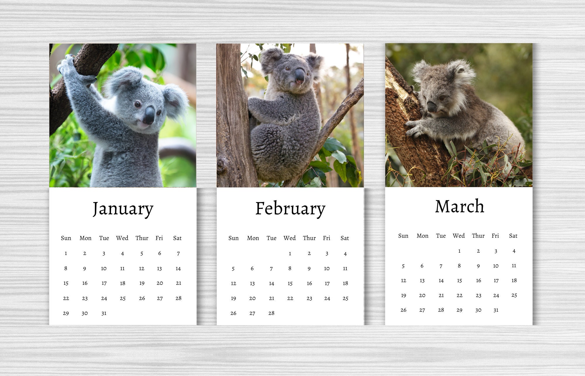 Koala Calendar 2023 Mini Desk Calendar Koala Calendar Etsy